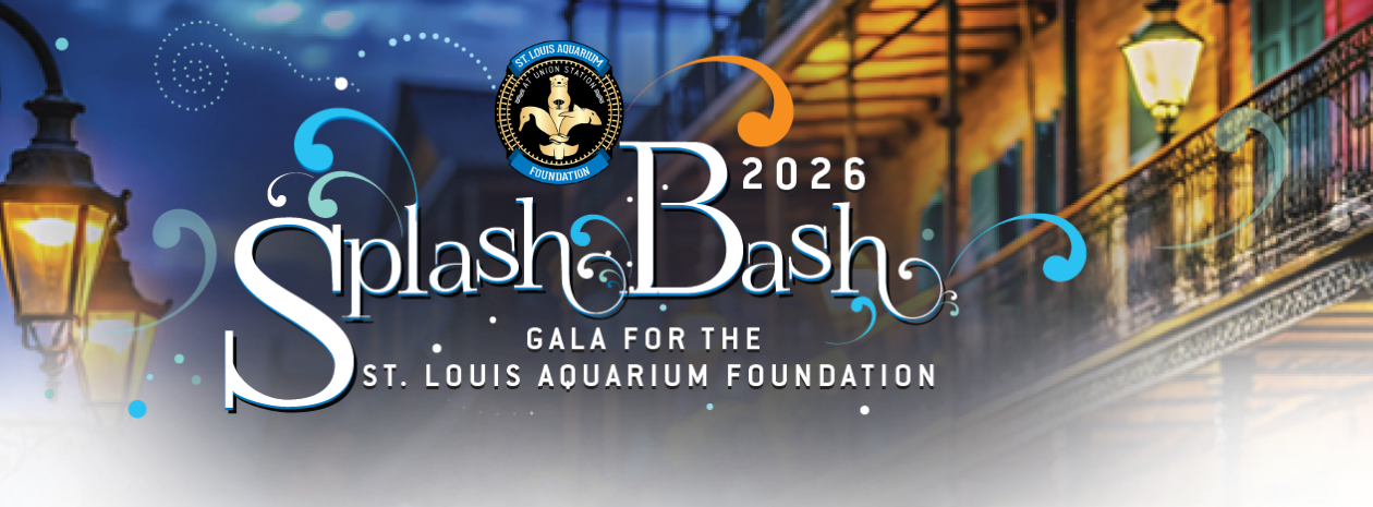 Splash Bash 2026